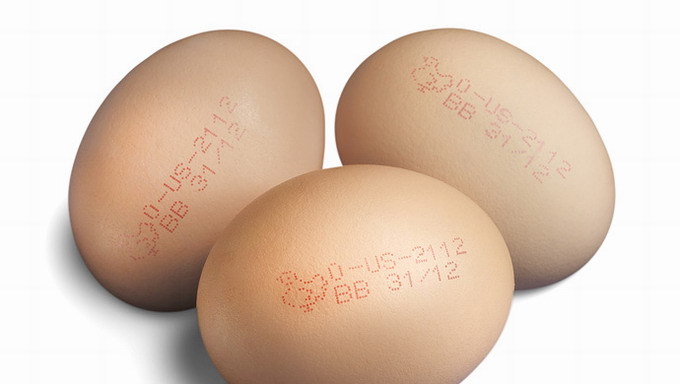 鸡蛋红墨